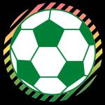Hooligoal Official